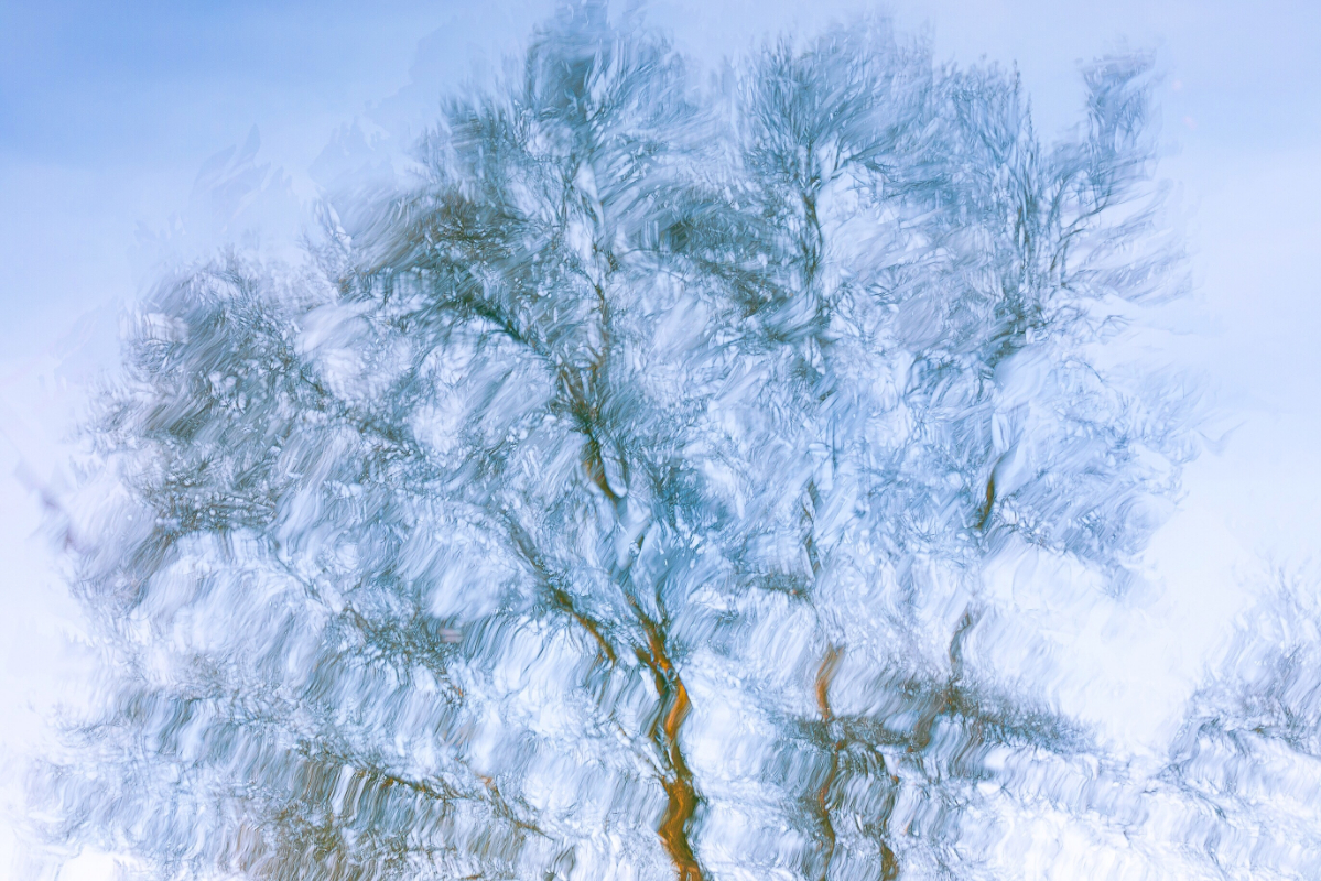 Shape Colours  Q2A0000